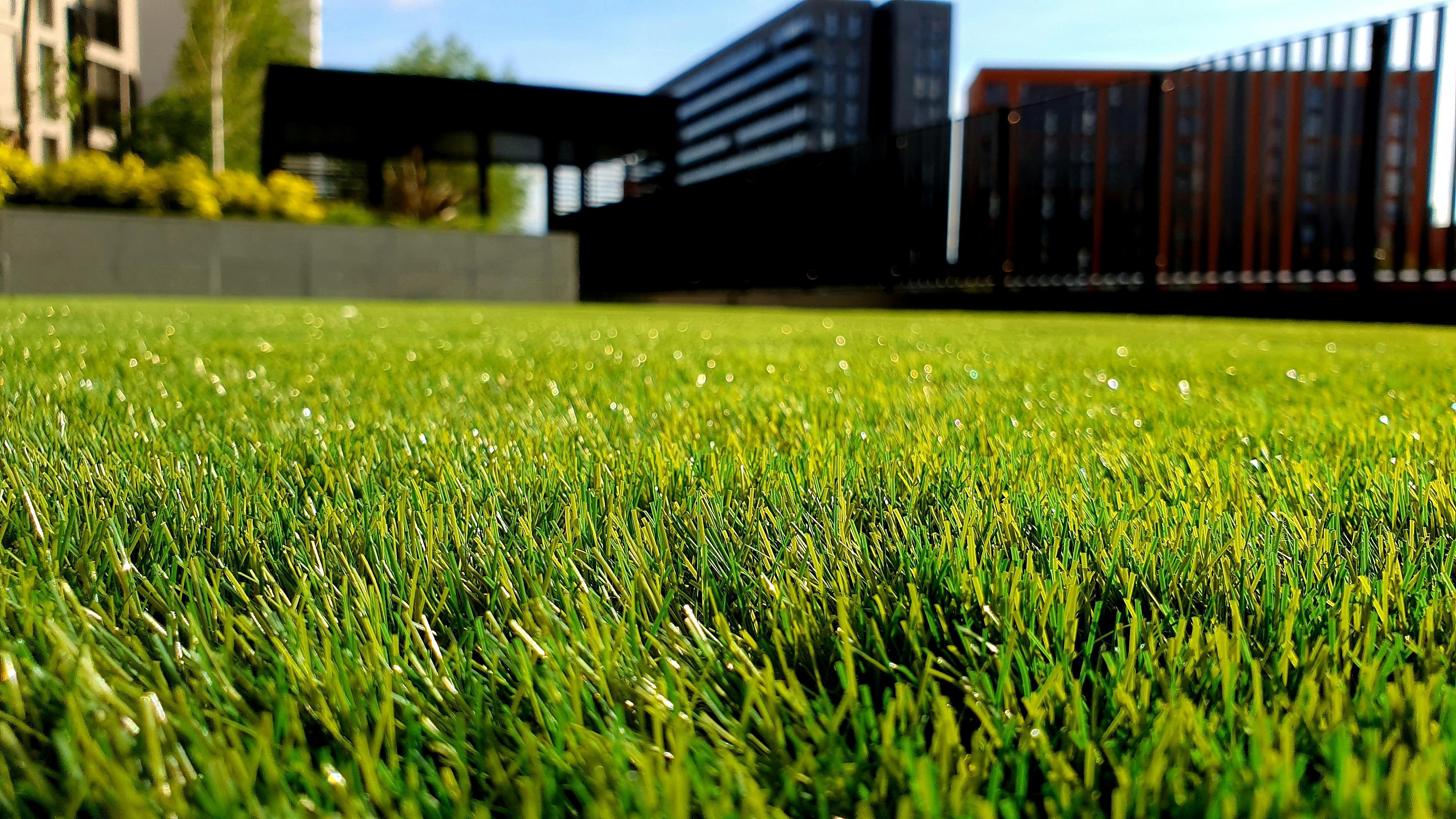 Lawn and hedge refresh