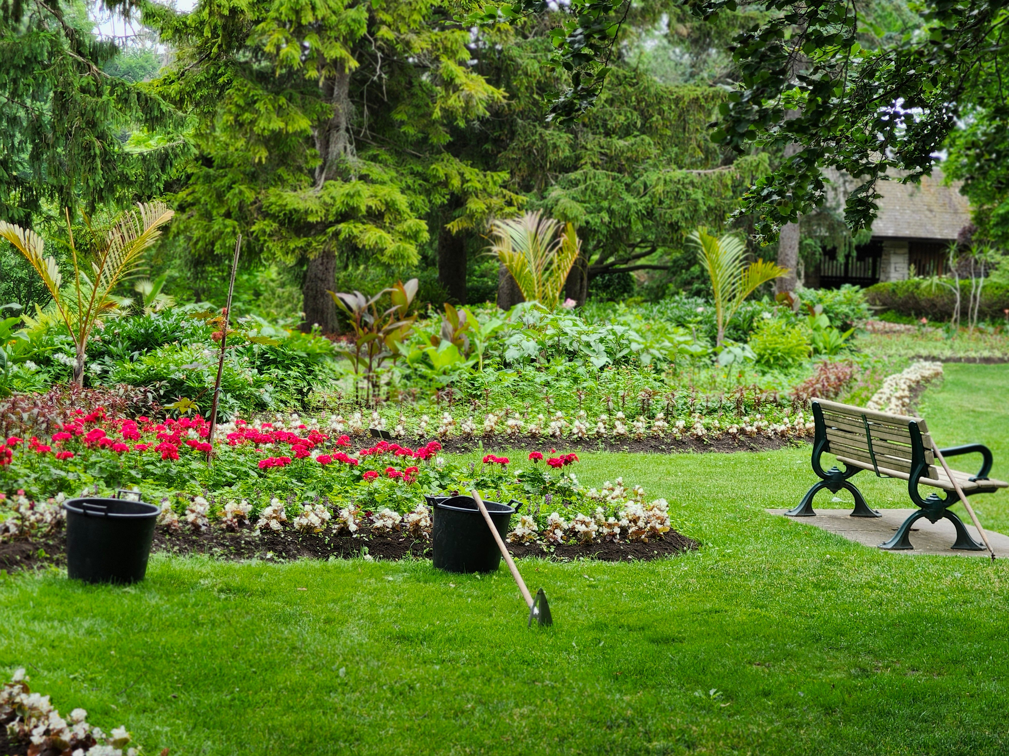 Garden bed makeover
